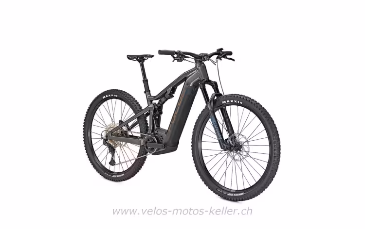 SPECIALIZED Holländische City Bike