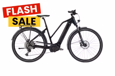 Riese & Müller Avenue Hybrid Ii