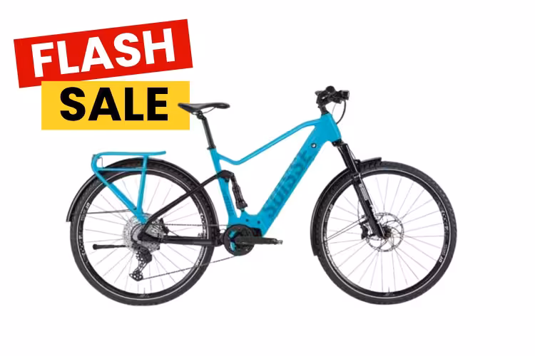 Riese & Müller Avenue Hybrid 2