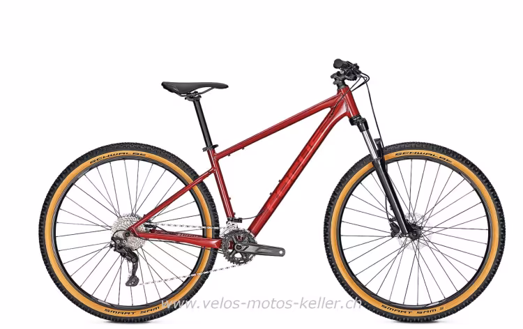 Focus Whistler 3.7