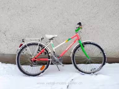 Wheeler 2490