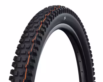 Schwalbe Albert Radial Gravity Faltreifen