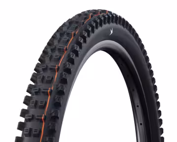 Schwalbe Tacky Chan Radial Trail Pro Soft Faltreifen