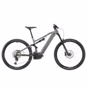 Bergstrom AXV 829