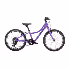 Naloo Chameleon 20 Mk2.1