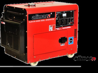 ALM/DS-5000E