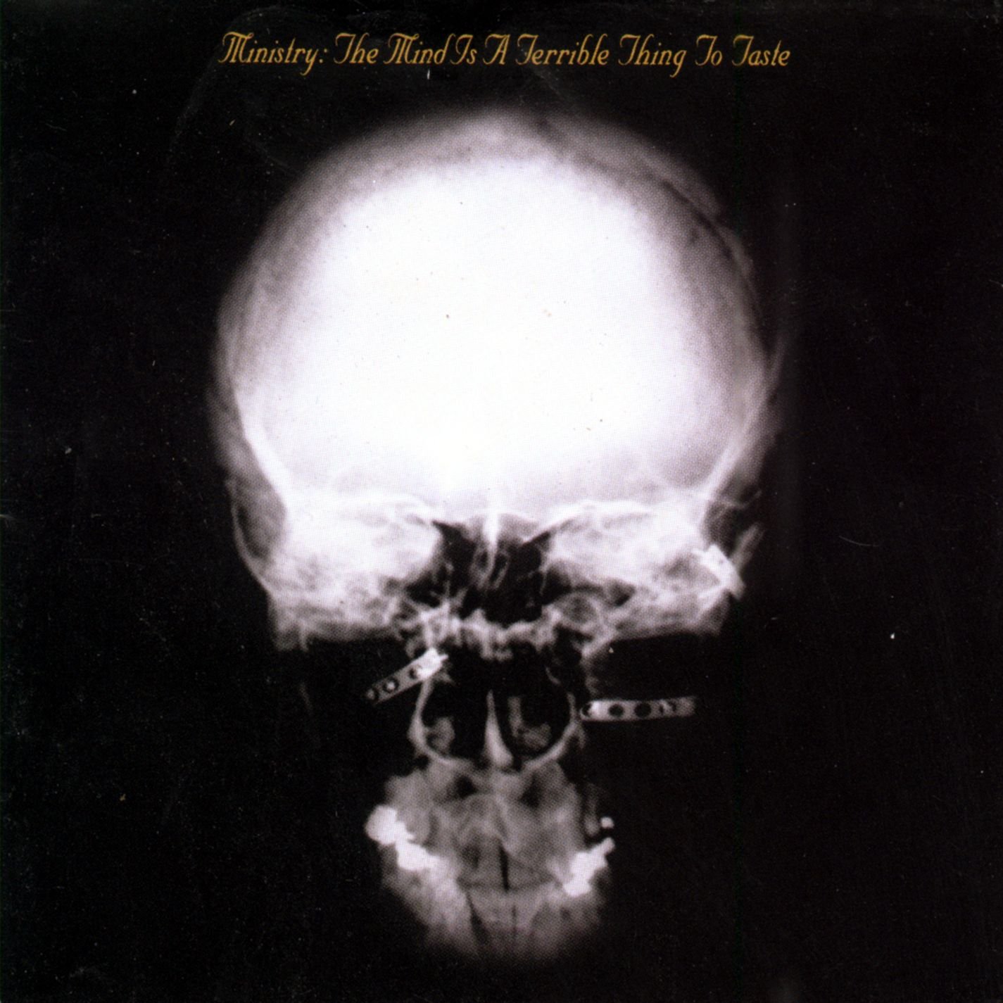 MINISTRY - THE MIND IS A TERRIBLE THING TO WASTE (CD) MINISTRY - THE MIND IS A TERRIBLE THING TO WASTE (CD)