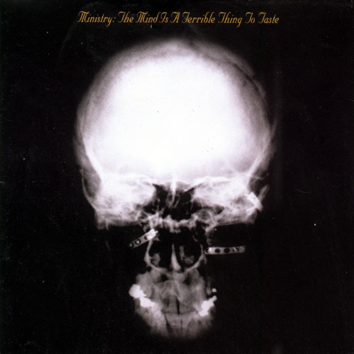 MINISTRY - THE MIND IS A TERRIBLE THING TO WASTE (CD)