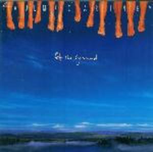 PAUL MC CARTNEY - OFF THE GROUND -USATO CD (CD) - Clicca l'immagine per chiudere