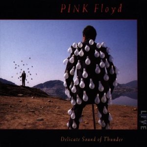 PINK FLOYD - DELICATE SOUND OF THUNDER -2CD (CD) PINK FLOYD - DELICATE SOUND OF THUNDER -2CD (CD)