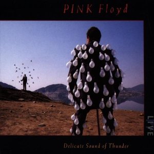 PINK FLOYD - DELICATE SOUND OF THUNDER -2CD (CD)