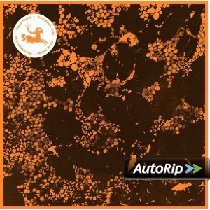 SILENT ASCENT - DOWNLINERS SEKT -D.P. (CD) SILENT ASCENT - DOWNLINERS SEKT -D.P. (CD)