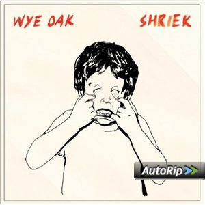 SHRIEK - WYE OAK -D.P. (CD)