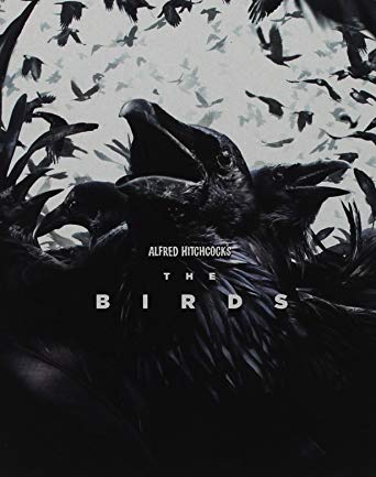 GLI UCCELLI: ANNIVERSARY (STEELBOOK) GLI UCCELLI: ANNIVERSARY (STEELBOOK)