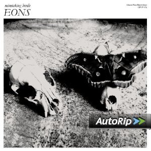 EONS - MIMICKING BIRDS -D.P. (CD)