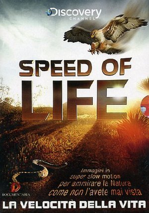 COF.SPEED OF LIFE - LA VELOCITA' DELLA VITA (2 DVD) (DVD)