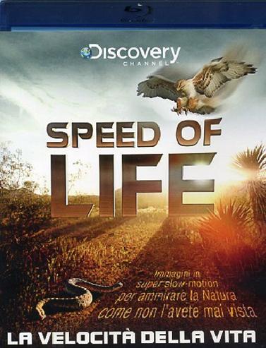 SPEED OF LIFE - LA VELOCITA' DELLA VITA SPEED OF LIFE - LA VELOCITA' DELLA VITA