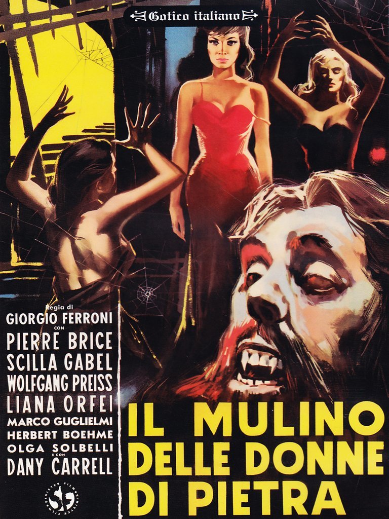 IL MULINO DELLE DONNE DI PIETRA (DVD) IL MULINO DELLE DONNE DI PIETRA (DVD)