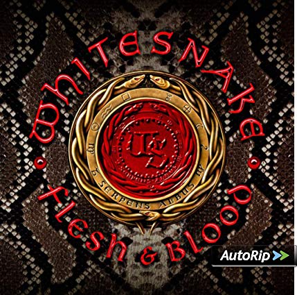 WHITESNAKE - FLESH & BLOOD (2 CD) (CD)