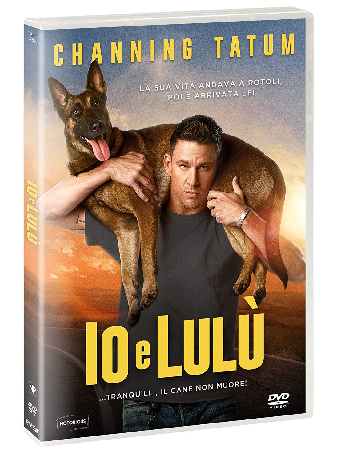 IO E LULU' (DVD) IO E LULU' (DVD)
