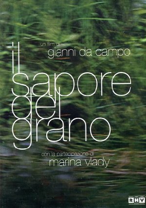 IL SAPORE DEL GRANO (DVD) IL SAPORE DEL GRANO (DVD)