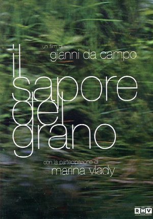 IL SAPORE DEL GRANO (DVD)