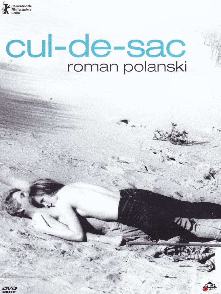 CUL DE SAC (DVD) CUL DE SAC (DVD)
