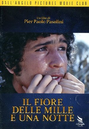 IL FIORE DELLE MILLE E UNA NOTTE (DVD) IL FIORE DELLE MILLE E UNA NOTTE (DVD)