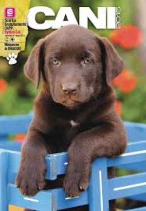 CALENDARIO 2015 - CANI - BYBLOS -ESENTE CALENDARIO 2015 - CANI - BYBLOS -ESENTE
