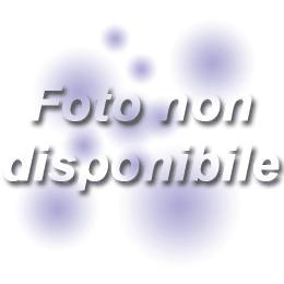 SQUILLO (DVD) SQUILLO (DVD)