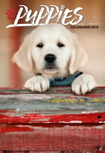 CALENDARIO 2018 29X42 PUPPIES