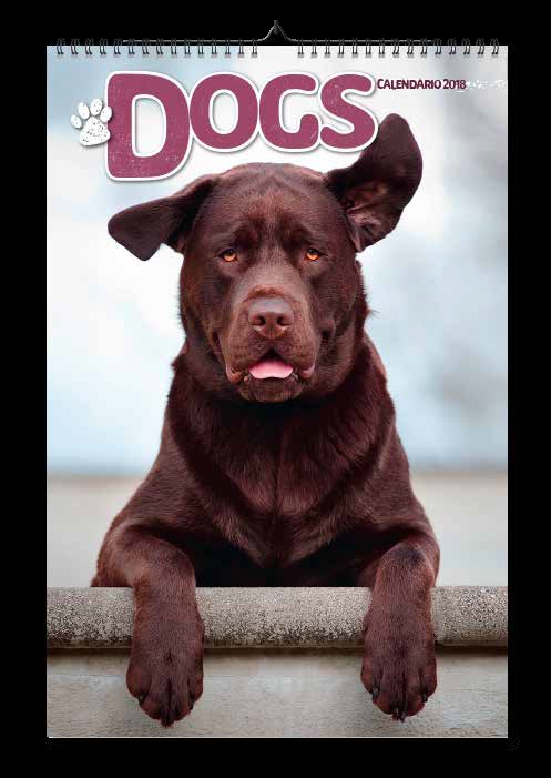 CALENDARIO 2018 29X42 DOGS CALENDARIO 2018 29X42 DOGS