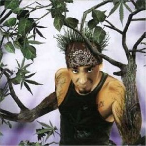 J.AX - DI SANA PIANTA * (CD) J.AX - DI SANA PIANTA * (CD)