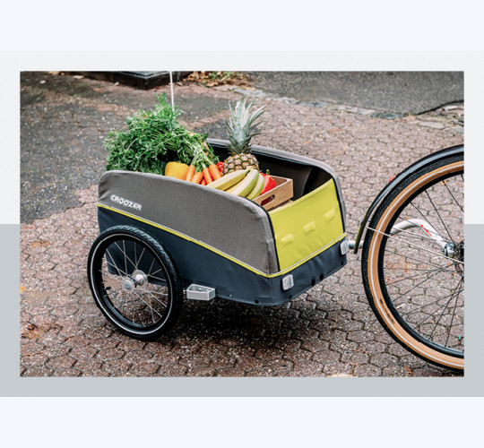 Croozer CARGO KALLE