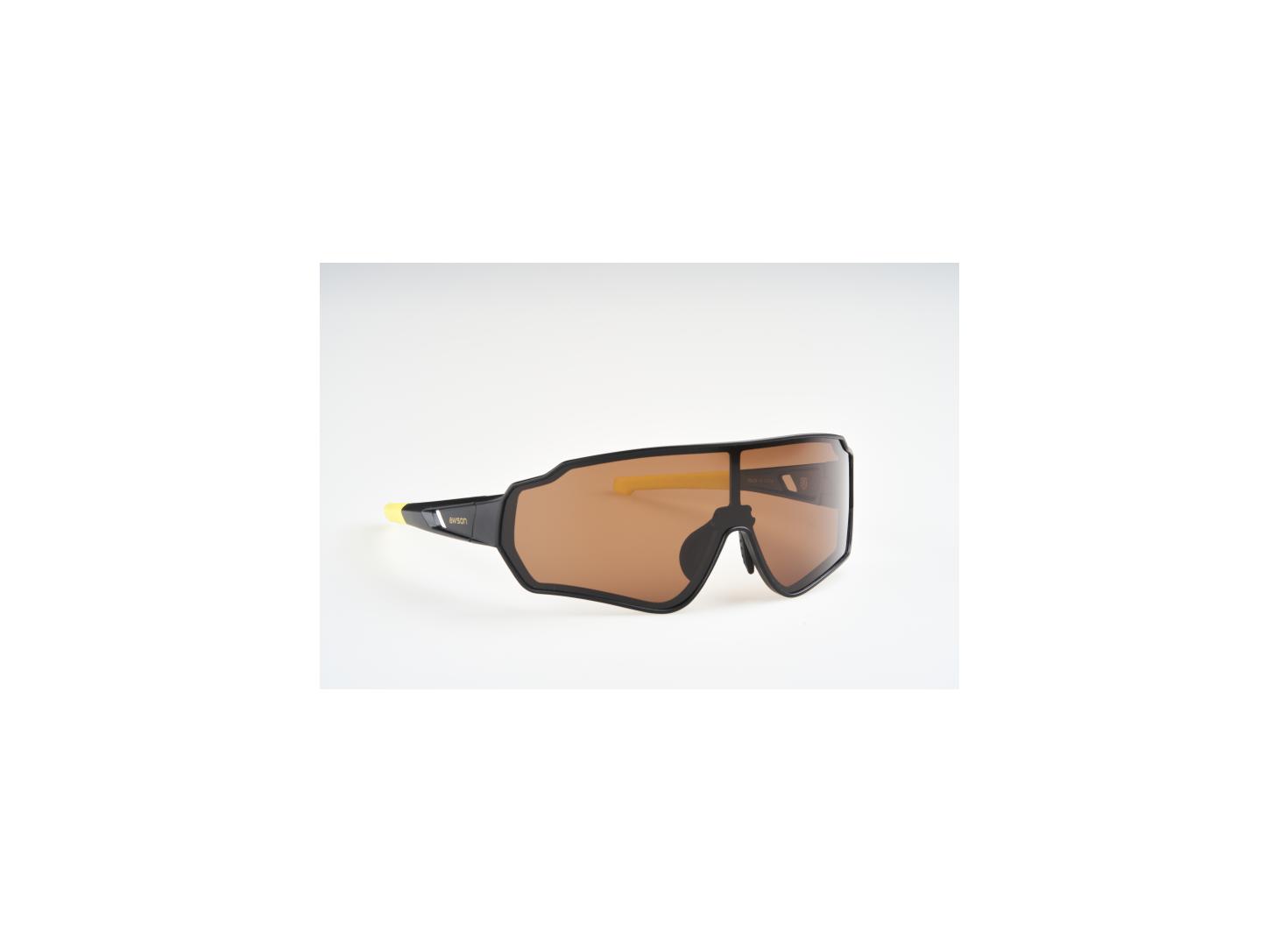 awson Polaroid brille