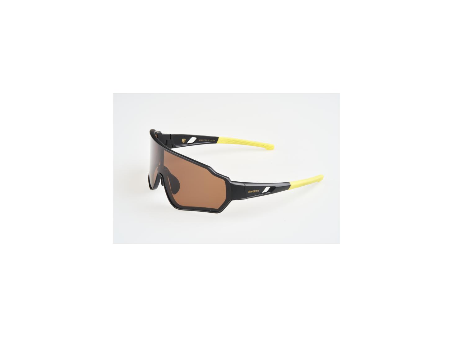 awson Polaroid brille