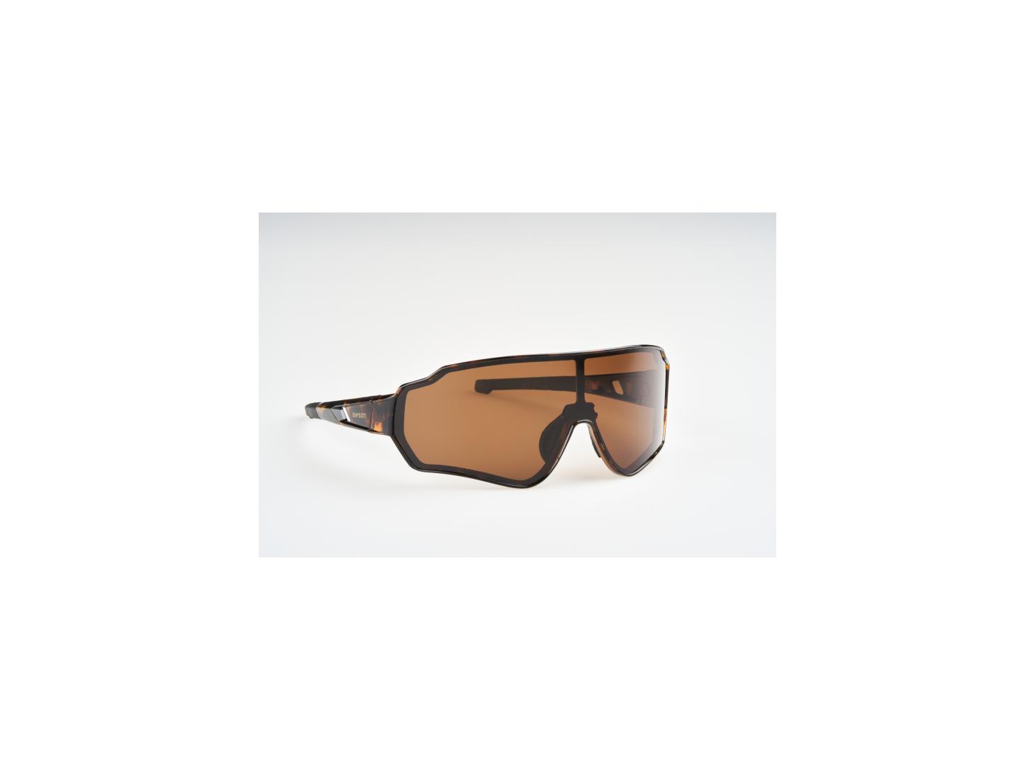 awson Polaroid brille