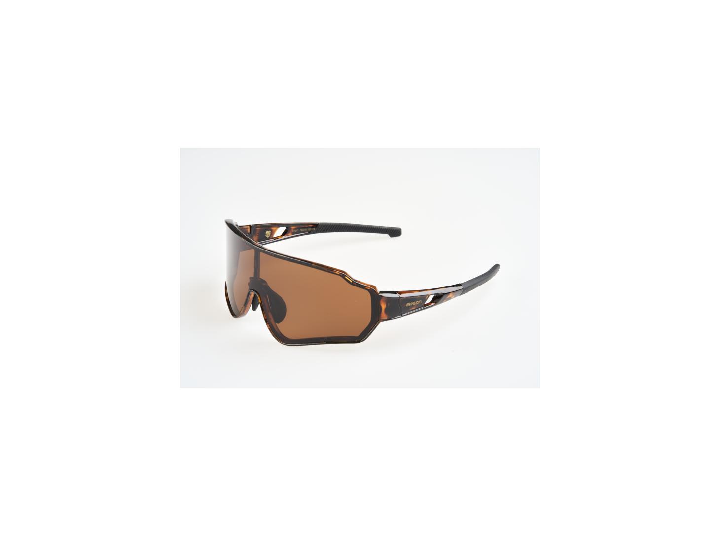 awson Polaroid brille
