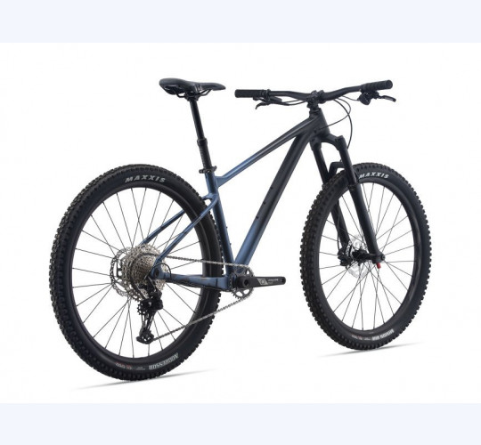 Giant Fathom 29er 2