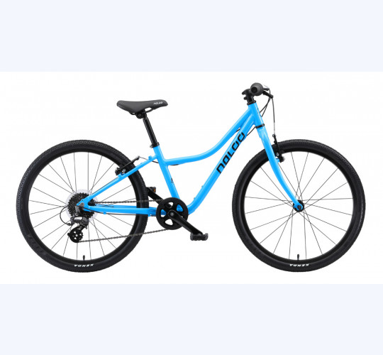 Naloo, Chameleon 24