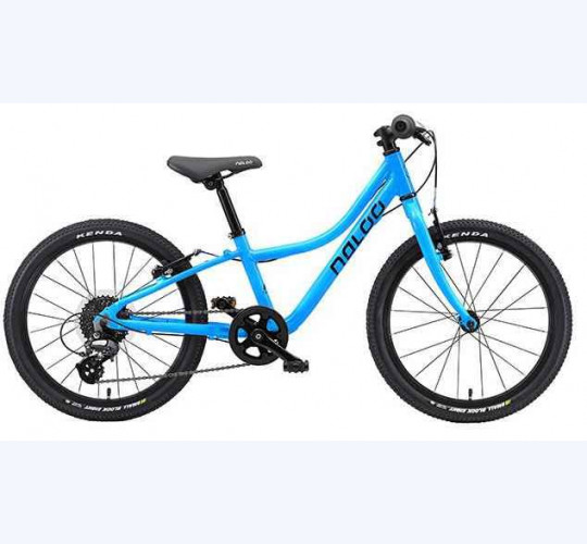 Naloo Chameleon 20
