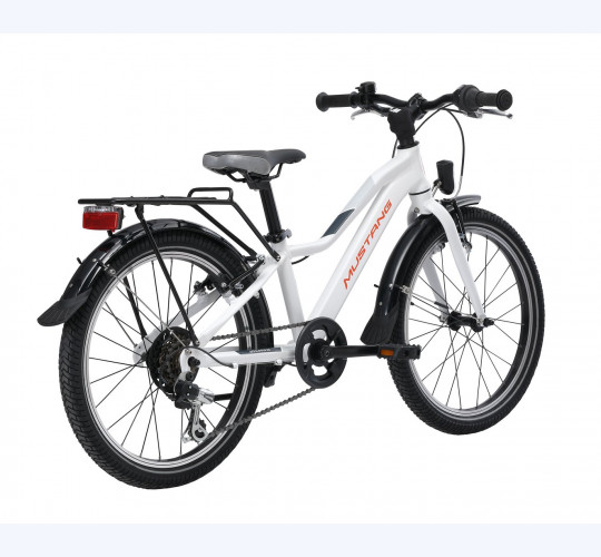 MUSTANG Appaloosa 20