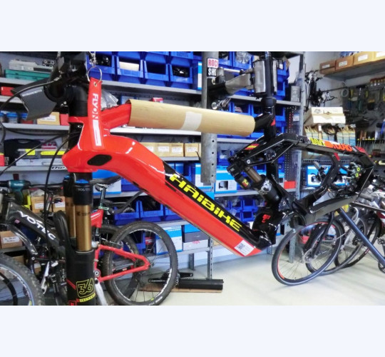 Haibike Xduro Nduro 10.0