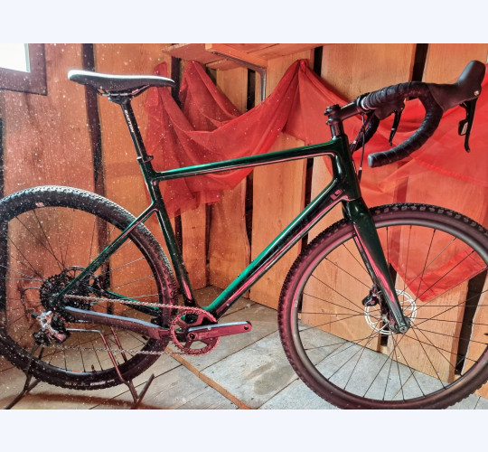 Santa Cruz Stigmata CC