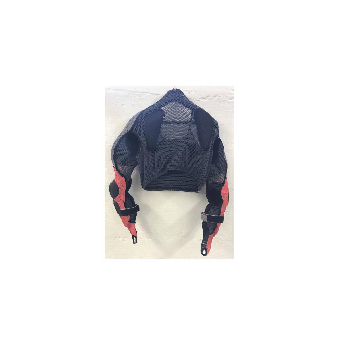 Dainese Rücken Protektor