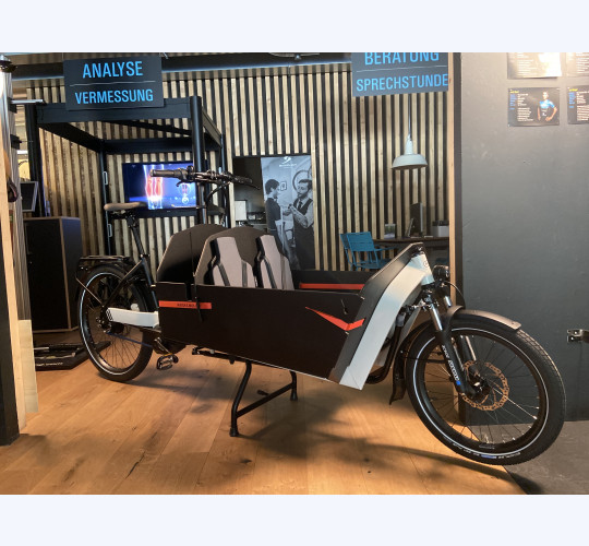 Riese & Müller Packster 80 Vario