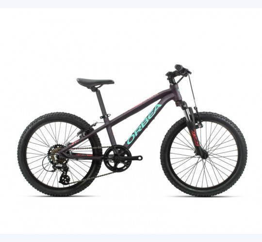 ORBEA MX 20 XC (20”)