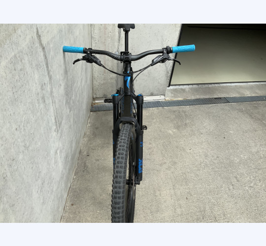 SPECIALIZED Levo Expert Carbon 29