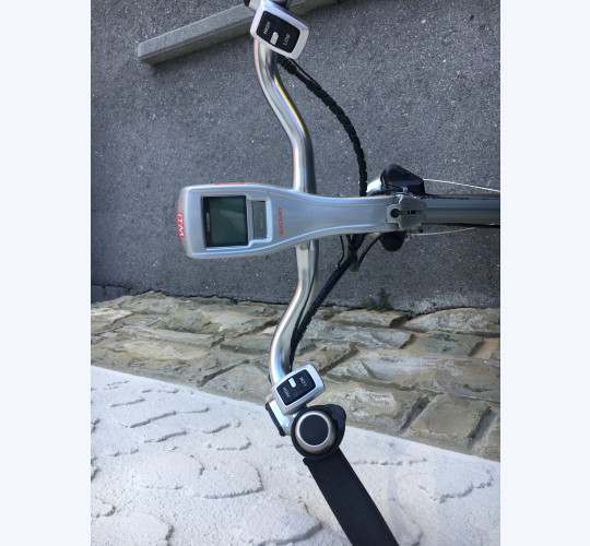 Koga Miyata Excellence