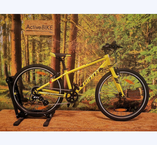 Giant ARX Junior 20